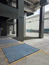 Mauser Singapore (D22), Factory #506891731